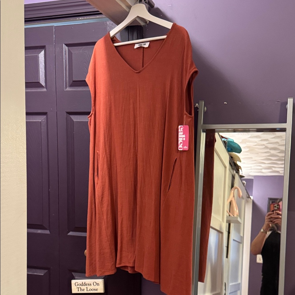 Double Zero Sleeveless V-Neck Rust Tunic